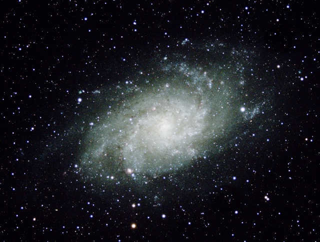 M33