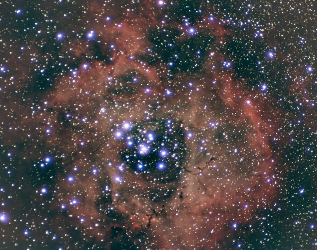 Rosette Nebula