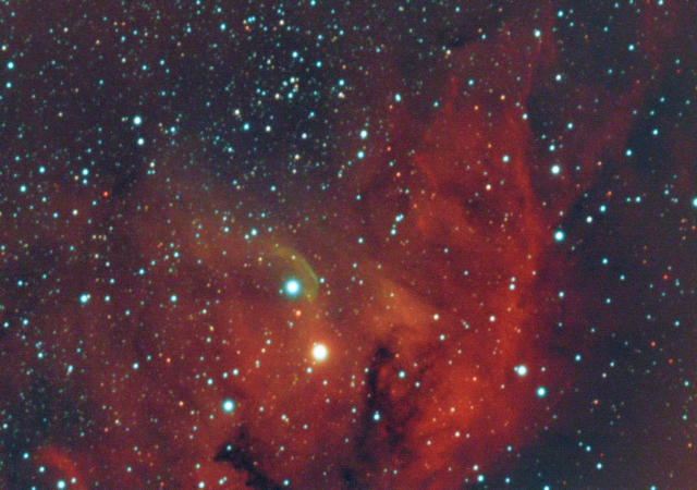 Tulip Nebula